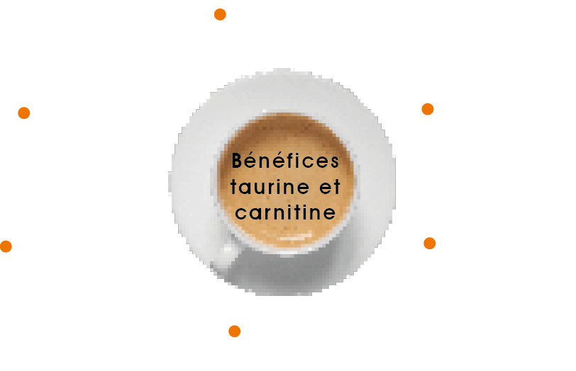 Schéma explicatif qui indique les bienfaits du café grain taurine de Innovation Food&Drinks : Molécules énergisantes, Booster
votre esprit, Récupération directe, Bénéfices taurine et carnitine, Bien-être et
performance, Haute
performance énergétique, Energie
immédiate